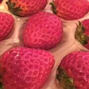 ヒメ日記 2025/03/12 16:28 投稿 すみれ 西船人妻花壇