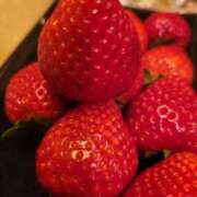 ヒメ日記 2025/03/24 21:26 投稿 すみれ 西船人妻花壇