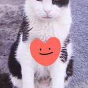 ヒメ日記 2025/03/26 15:48 投稿 すみれ 西船人妻花壇