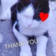 ヒメ日記 2025/04/03 14:07 投稿 すみれ 西船人妻花壇