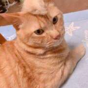 ヒメ日記 2025/04/10 14:11 投稿 すみれ 西船人妻花壇