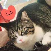 ヒメ日記 2025/04/17 23:53 投稿 すみれ 西船人妻花壇