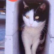 ヒメ日記 2025/04/21 17:47 投稿 すみれ 西船人妻花壇