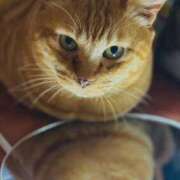 ヒメ日記 2025/04/23 21:23 投稿 すみれ 西船人妻花壇