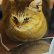 ヒメ日記 2025/04/24 19:49 投稿 すみれ 西船人妻花壇