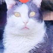 ヒメ日記 2025/04/27 23:53 投稿 すみれ 西船人妻花壇