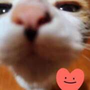 ヒメ日記 2025/04/28 19:06 投稿 すみれ 西船人妻花壇