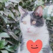 ヒメ日記 2025/04/30 17:01 投稿 すみれ 西船人妻花壇