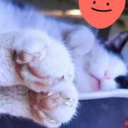 ヒメ日記 2025/05/01 16:35 投稿 すみれ 西船人妻花壇