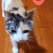 ヒメ日記 2025/05/03 13:57 投稿 すみれ 西船人妻花壇