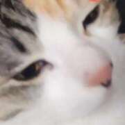 ヒメ日記 2025/05/06 00:42 投稿 すみれ 西船人妻花壇