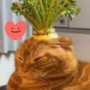 ヒメ日記 2025/05/06 18:50 投稿 すみれ 西船人妻花壇