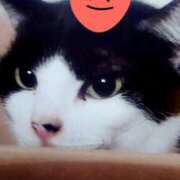 ヒメ日記 2025/05/27 16:13 投稿 すみれ 西船人妻花壇