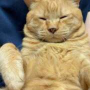 ヒメ日記 2025/06/05 17:48 投稿 すみれ 西船人妻花壇