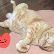 ヒメ日記 2025/06/16 19:52 投稿 すみれ 西船人妻花壇