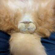 ヒメ日記 2025/06/20 12:55 投稿 すみれ 西船人妻花壇