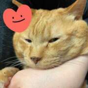 ヒメ日記 2025/06/21 19:39 投稿 すみれ 西船人妻花壇