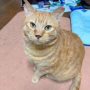 ヒメ日記 2025/06/24 09:45 投稿 すみれ 西船人妻花壇