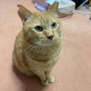 ヒメ日記 2025/06/24 19:34 投稿 すみれ 西船人妻花壇