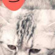 ヒメ日記 2025/06/27 19:25 投稿 すみれ 西船人妻花壇