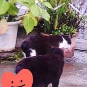 ヒメ日記 2025/06/29 21:54 投稿 すみれ 西船人妻花壇