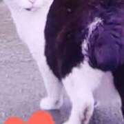 ヒメ日記 2025/07/01 00:37 投稿 すみれ 西船人妻花壇