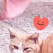 ヒメ日記 2025/07/01 21:17 投稿 すみれ 西船人妻花壇