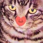 ヒメ日記 2025/07/03 17:18 投稿 すみれ 西船人妻花壇