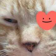 ヒメ日記 2025/07/07 18:04 投稿 すみれ 西船人妻花壇