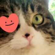 ヒメ日記 2025/07/08 22:19 投稿 すみれ 西船人妻花壇