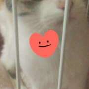 ヒメ日記 2025/07/10 00:08 投稿 すみれ 西船人妻花壇