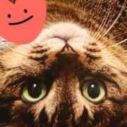 ヒメ日記 2025/07/15 21:11 投稿 すみれ 西船人妻花壇