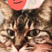 ヒメ日記 2025/07/17 16:48 投稿 すみれ 西船人妻花壇