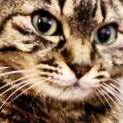 ヒメ日記 2025/07/17 17:03 投稿 すみれ 西船人妻花壇