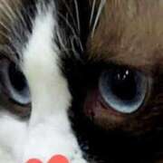 ヒメ日記 2025/07/23 20:27 投稿 すみれ 西船人妻花壇