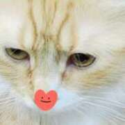 ヒメ日記 2025/08/06 09:10 投稿 すみれ 西船人妻花壇