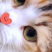 ヒメ日記 2025/08/06 21:03 投稿 すみれ 西船人妻花壇