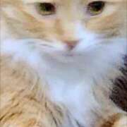 ヒメ日記 2025/08/10 22:19 投稿 すみれ 西船人妻花壇