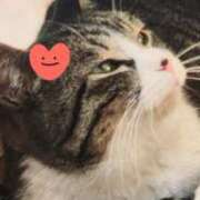 ヒメ日記 2025/08/14 00:48 投稿 すみれ 西船人妻花壇