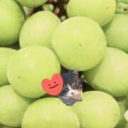 ヒメ日記 2025/08/14 22:28 投稿 すみれ 西船人妻花壇