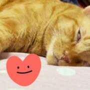 ヒメ日記 2025/08/26 21:15 投稿 すみれ 西船人妻花壇