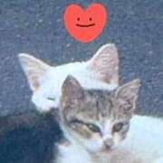 ヒメ日記 2025/09/09 20:57 投稿 すみれ 西船人妻花壇