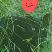 ヒメ日記 2025/09/10 20:53 投稿 すみれ 西船人妻花壇