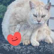 ヒメ日記 2025/09/12 13:04 投稿 すみれ 西船人妻花壇