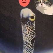 ヒメ日記 2025/09/16 20:57 投稿 すみれ 西船人妻花壇