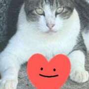 ヒメ日記 2025/09/26 12:50 投稿 すみれ 西船人妻花壇