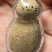 ヒメ日記 2025/10/02 00:10 投稿 すみれ 西船人妻花壇