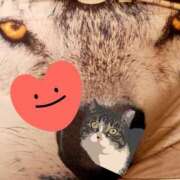 ヒメ日記 2025/10/06 15:30 投稿 すみれ 西船人妻花壇