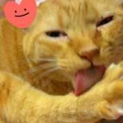 ヒメ日記 2025/10/07 16:06 投稿 すみれ 西船人妻花壇