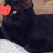 ヒメ日記 2025/10/08 20:01 投稿 すみれ 西船人妻花壇